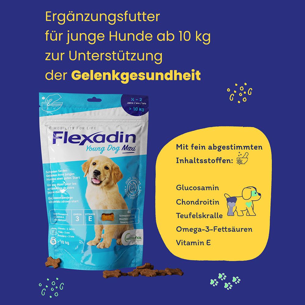 Flexadin Young Dog Maxi Chews Erg.-Futterm.f.Hunde 1x60 St Kautabletten