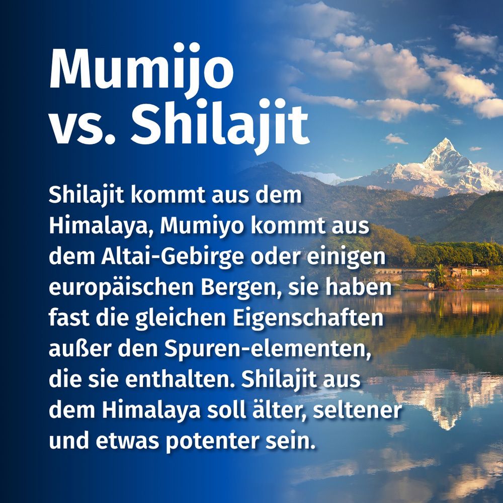 Text auf blauem Hintergrund: Mumijo vs. Shilajit. Text erklärt Unterschiede zwischen Shilajit und Mumijo.