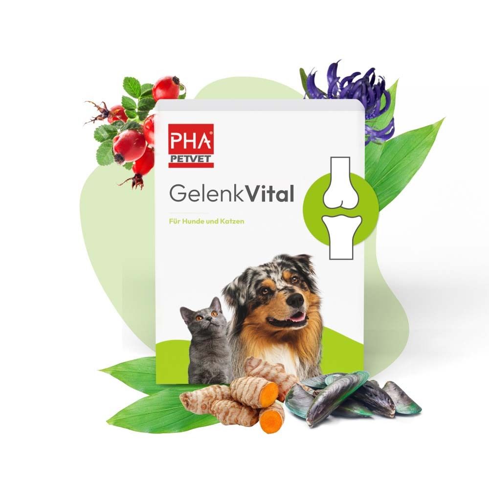 Verpackung von PHA Gelenk Vital mit Zutaten. Bild von Hund und Katze. Text: Gelenk Vital, JointCare für Hunde & Katzen.