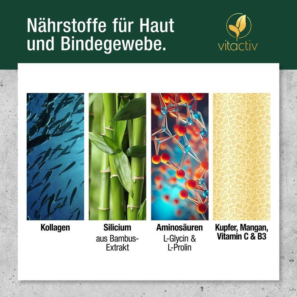 Grafik mit Bildern von Kollagen, Bambus-Extrakt, Aminosäuren und Kupfer, Mangan, Vitamin C & B3.