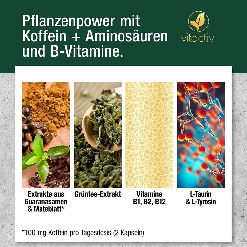 Vier Bilder: Guarana, Grüntee, Vitamine B1, B2, B12, L-Taurin & L-Tyrosin. Text: Pflanzenpower mit Koffein + Aminosäuren und B-Vitamine.