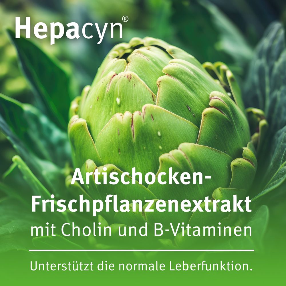 Hepacyn Artischocke Cholin Filmtabletten 120 St