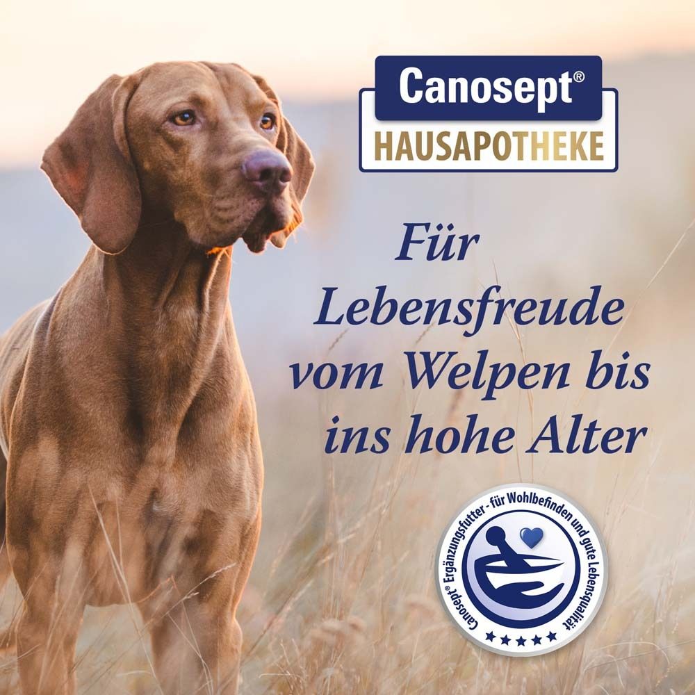 Canosept Gelenk Tabletten f.Hunde 80 St