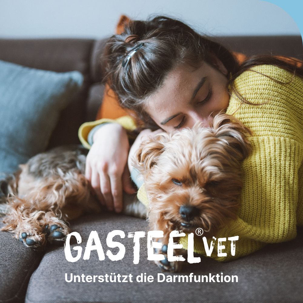 Gasteel Diät-Erg.Futterm.Kapseln f.Hunde/Katzen 50 St Kapseln