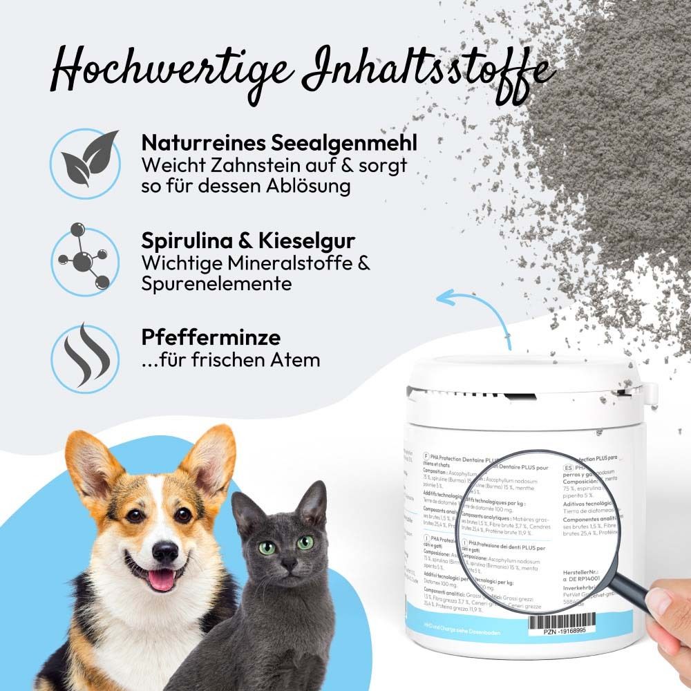 Produktglas mit Inhaltsstoffen: Seealgenmehl, Spirulina, Pfefferminze. Hund und Katze. Lupe.