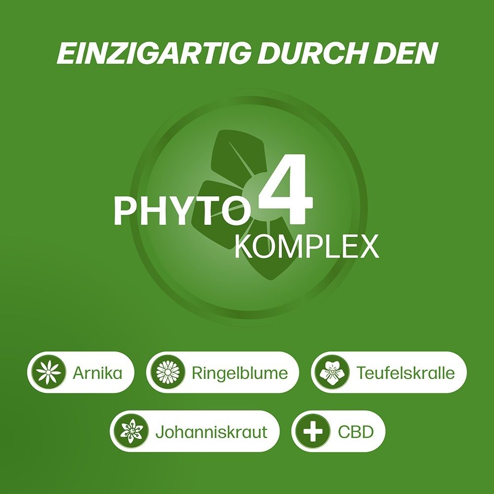Grafik mit "PHYTO 4 KOMPLEX" und Symbolen für Arnika, Ringelblume, Teufelskralle, Johanniskraut und CBD.