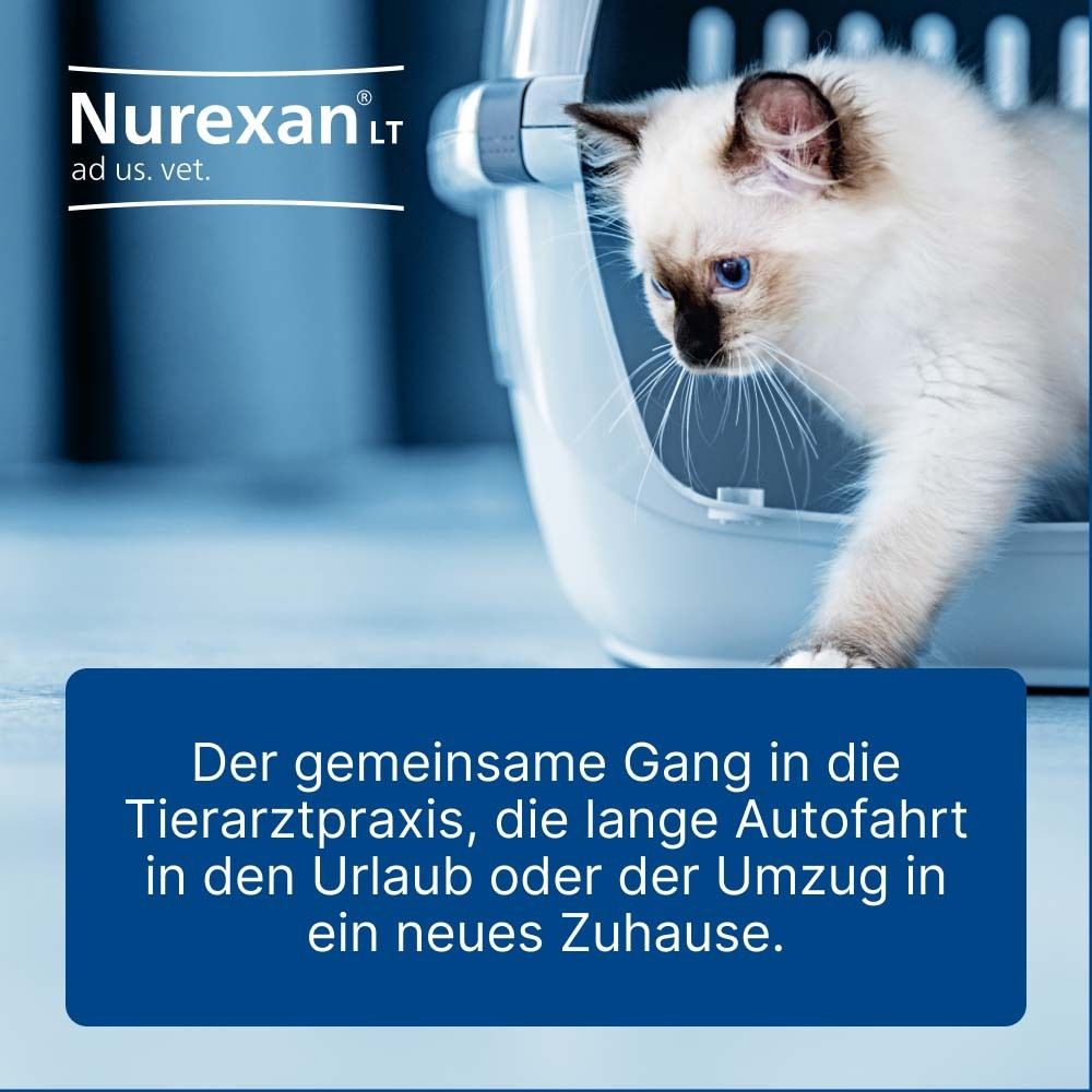 Katze in Transportbox. Text: Der Gang in die Tierarztpraxis, die lange Autofahrt in den Urlaub oder der Umzug in ein neues Zuhause.