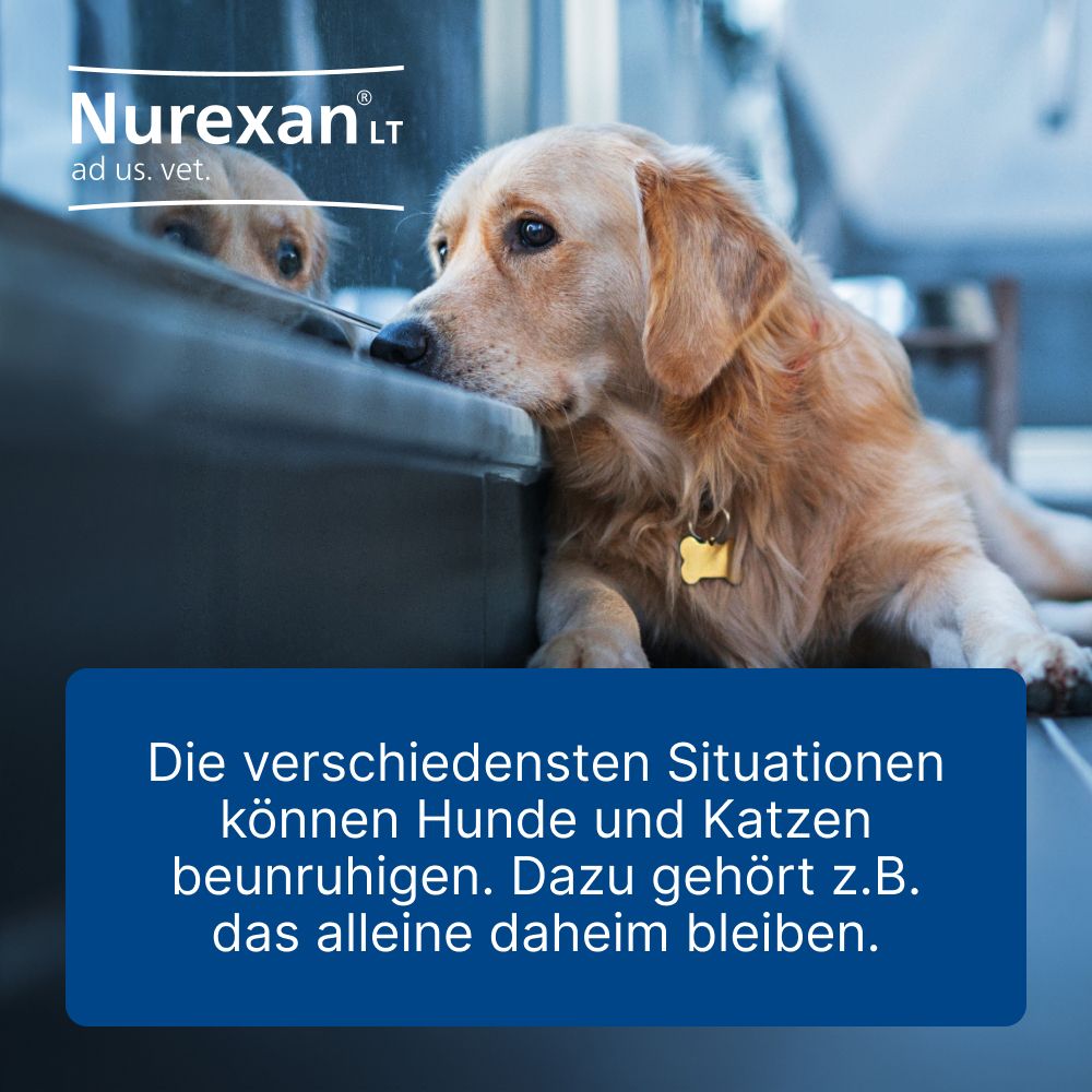 Nurexan LT ad us.vet.Tabletten 500 St Tabletten