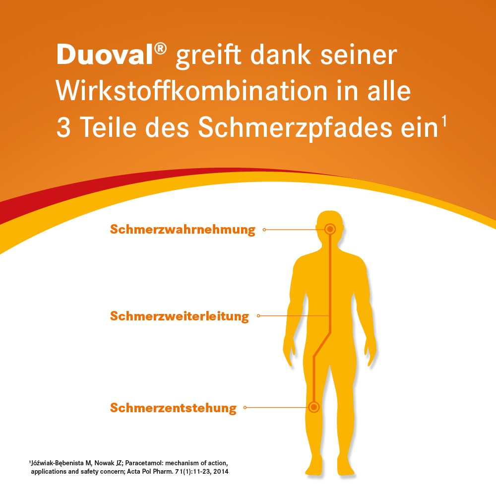 Grafik: Menschliche Figur mit Markierungen. Text: Duoval® greift in 3 Teile des Schmerzpades ein.