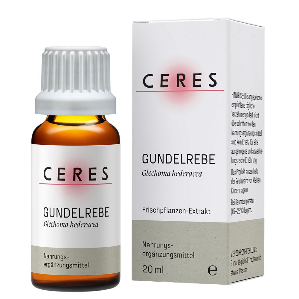 Ceres Gundelrebe Glechoma hederacea Extrakt Tropf. 20 ml Tropfen