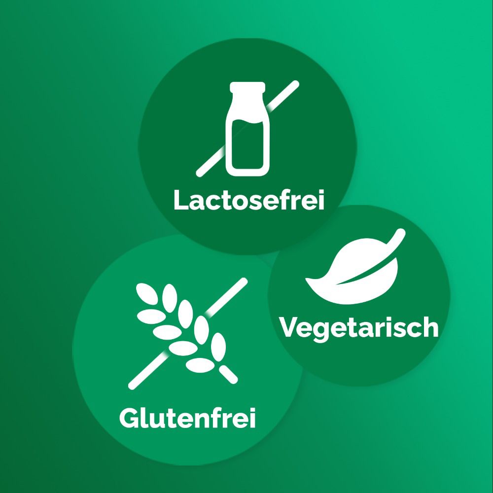 Kreisförmige Symbole: Laktosefrei, glutenfrei, vegetarisch. Grüner Hintergrund.