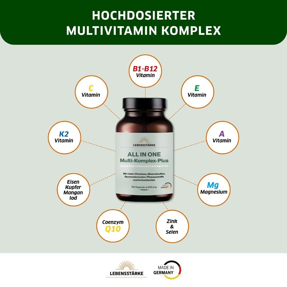 LEBENSSTARKE ALL IN ONE Multi-Komplex-Plus