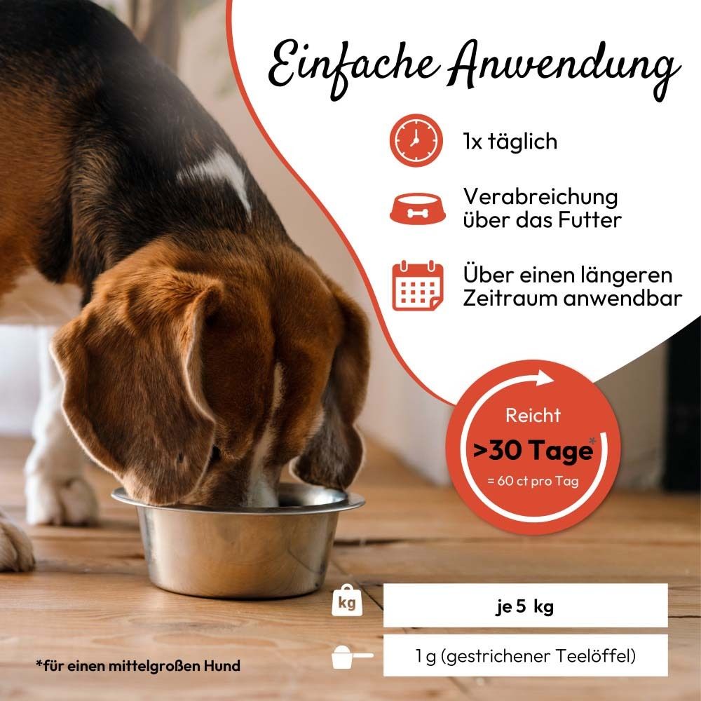 Hund isst aus Napf. Aufdruck: PHA PETVET Z-Abwehr. Text: 1x täglich, über Futter, >30 Tage.