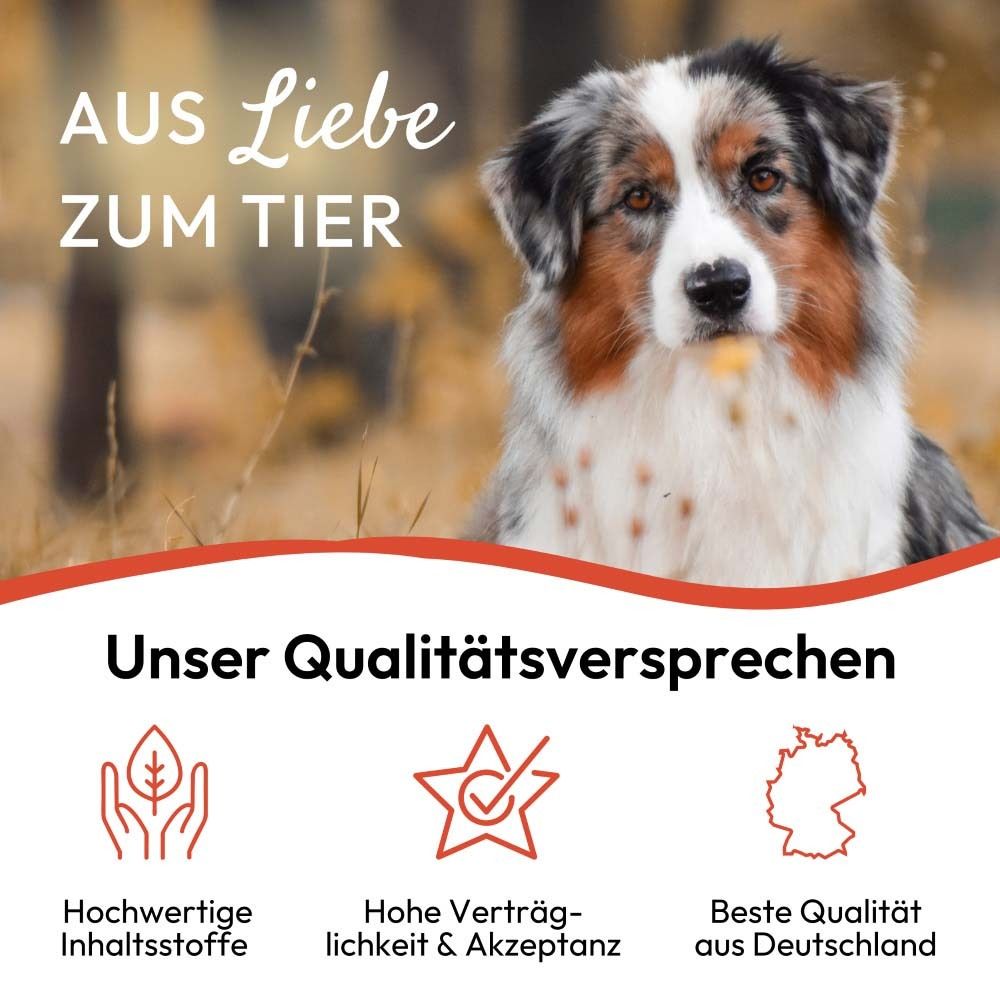 Hund vor Hintergrund. Text: Unser Qualitätsversprechen. Logos: hochwertige Inhaltsstoffe, hohe Verträglichkeit, beste Qualität.