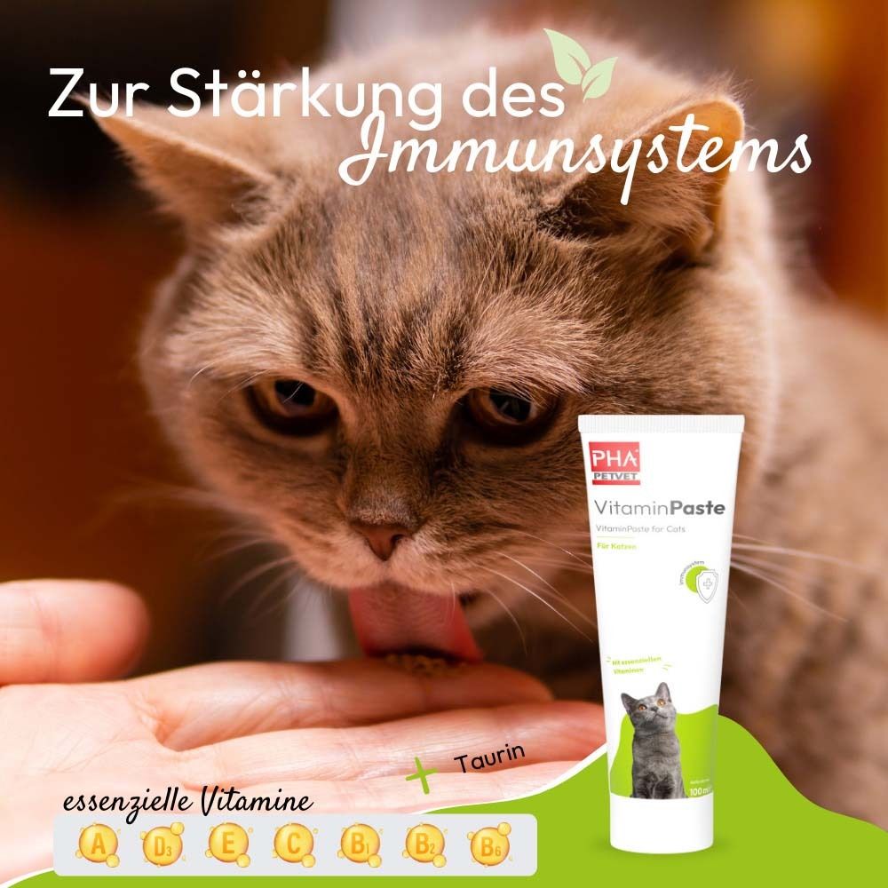 Nahaufnahme einer Hand, die eine Vitaminpaste für Katzen anbietet. Katze leckt Paste. Text: essenzielle Vitamine.