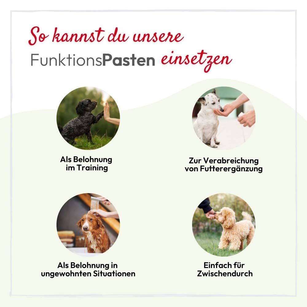 Vier Bilder zeigen die Anwendung der FunktionsPasten. Hunde in verschiedenen Situationen. Text in deutscher Sprache.