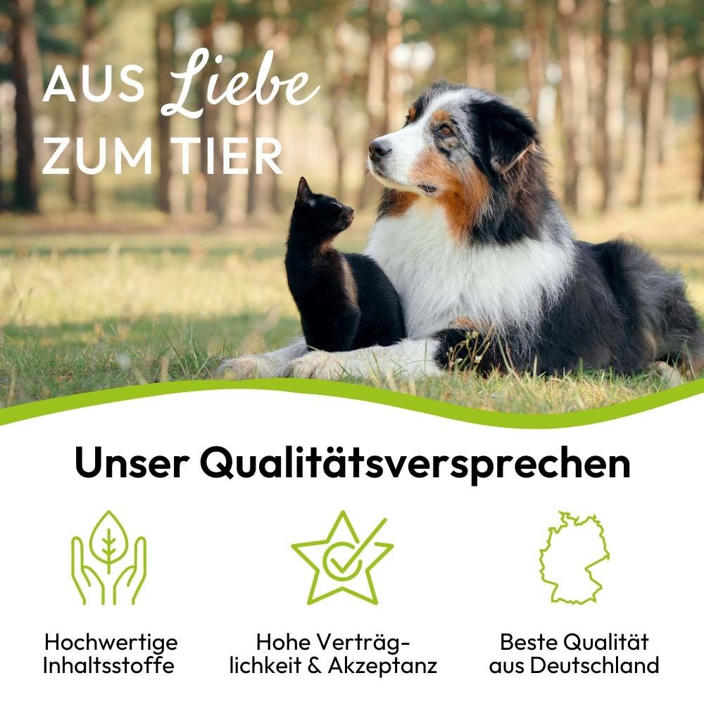 Hund und Katze im Gras. Text: Unser Qualitätsversprechen. Logos: Hochwertige Inhaltsstoffe, hohe Verträglichkeit, beste Qualität.