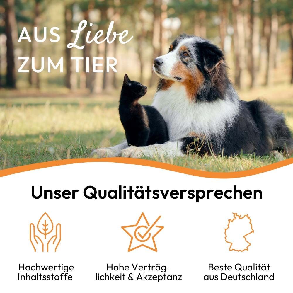 Hund und Katze sitzen im Gras. Text: Aus Liebe zum Tier. Qualitätsversprechen: Hochwertige Inhaltsstoffe, hohe Verträglichkeit.