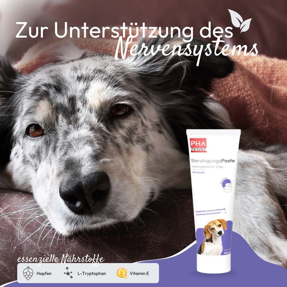 Hund liegt auf Decke. Tube mit Produktnamen. PHA PETVET BeruhigungsPaste für Hunde. Text: Nervensystem.