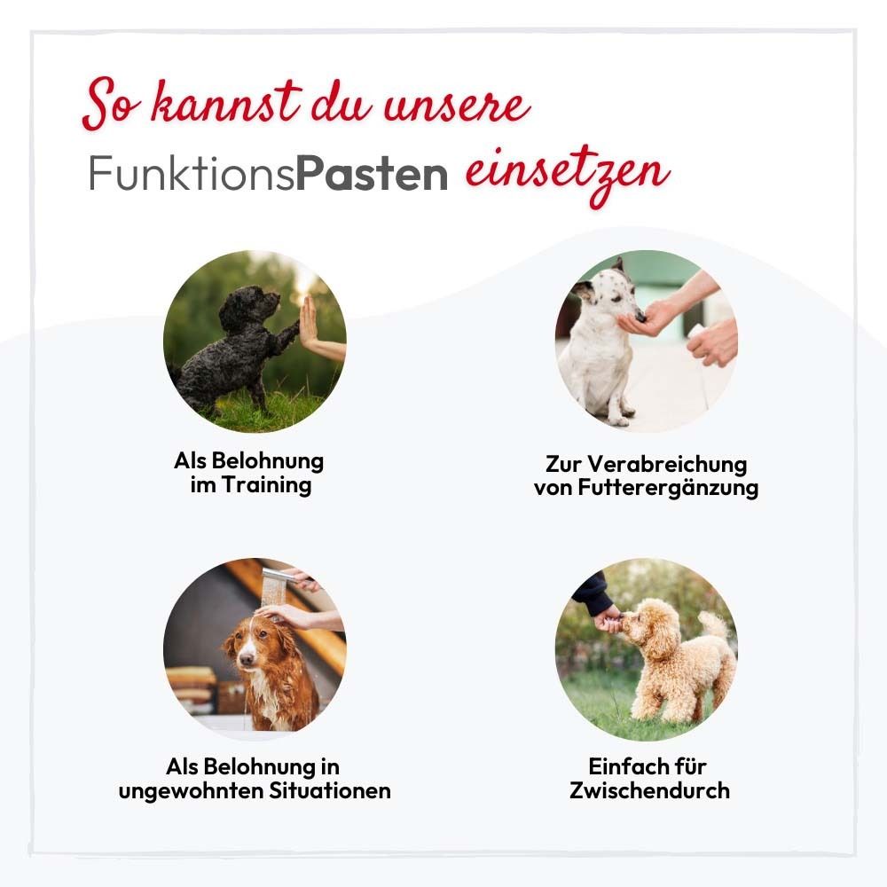 Vier Bilder. Hunde in verschiedenen Situationen. Text: FunktionsPasten. Als Belohnung, Futterergänzung.