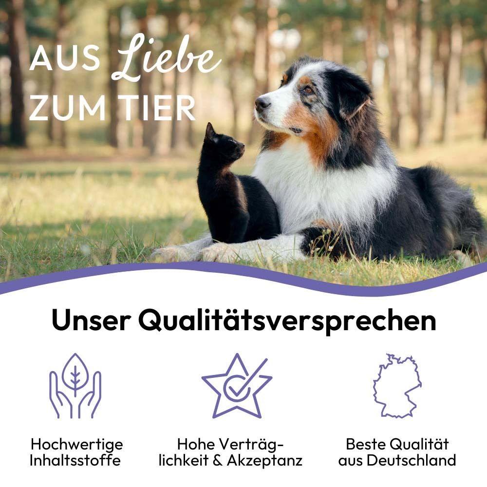 Hund und Katze im Gras. Text: Aus Liebe zum Tier. Qualitätssiegel: Inhaltsstoffe, Verträglichkeit, Qualität.