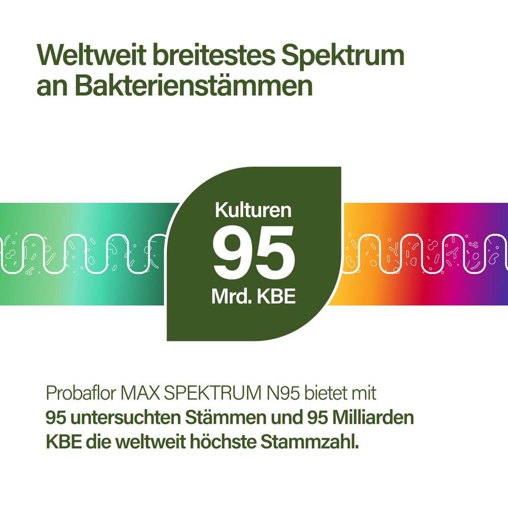 Nupure probaflor Max Spektrum N95 magensaftr.Kaps. 80 St Kapseln magensaftresistent