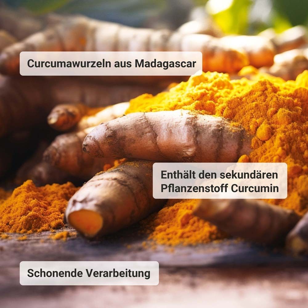 Curcumawurzeln und Curcumin-Pulver. Text: „Curcumawurzeln aus Madagascar“ und „Enthält den sekundären Pflanzenstoff Curcumin“.