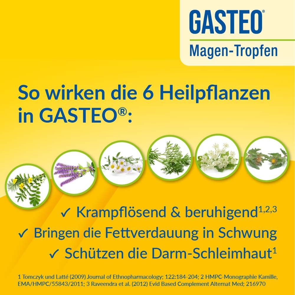 Gelber Hintergrund mit Text. GASTEO®: 6 Heilpflanzen. Text: Krampflösend, beruhigend, fördert Fettverdauung, schützt Darmschleimhaut.