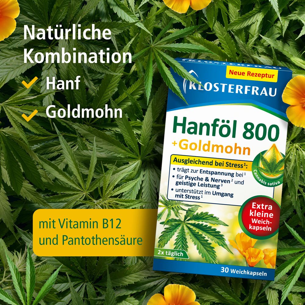 KLOSTERFRAU Hanföl 800 + Goldmohn. Blaue Schachtel mit Produktinformationen. Enthält Hanf, Goldmohn, Vitamin B12 und Pantothensäure.