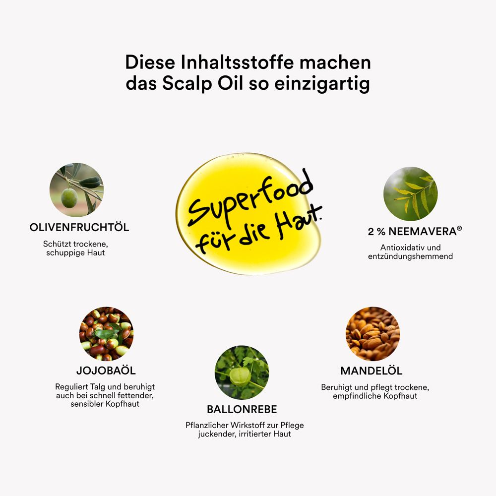 Kreisförmige Anordnung von Inhaltsstoffen. Text: "Diese Inhaltsstoffe machen das Scalp Oil so einzigartig".