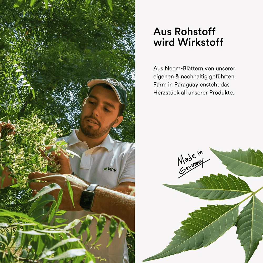 Mann in der Natur, hält Blätter. Text: "Aus Rohstoff wird Wirkstoff". Made in Germany.
