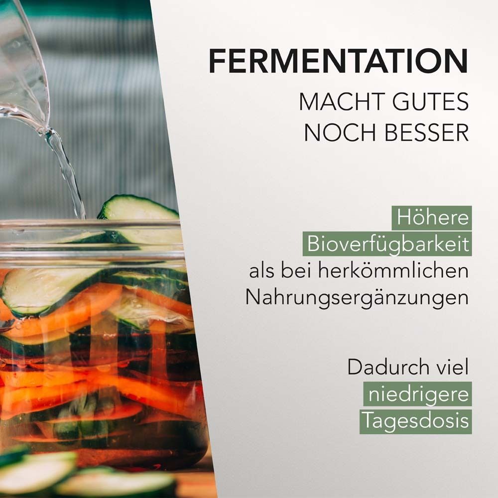 Glas mit Gemüse und Wasser. Text: Fermentation macht Gutes noch besser. Höhere Bioverfügbarkeit. Dadurch viel niedrigere Tagesdosis.