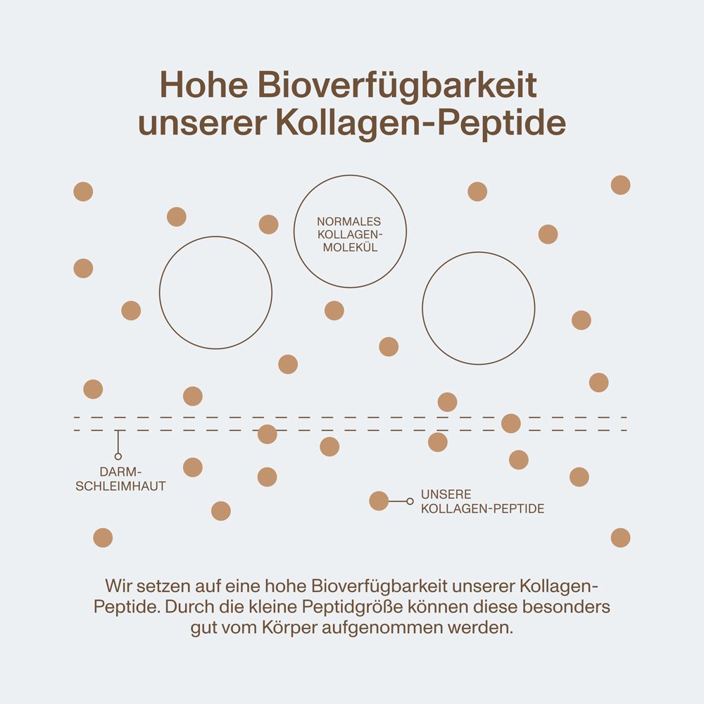Vital Proteins Collagen Peptides – bioaktive Kollagen-Peptide Typ 1 und 3 – reines Kollagen-Hydrolysat mit echtem Kakaopulver - ohne Zucker