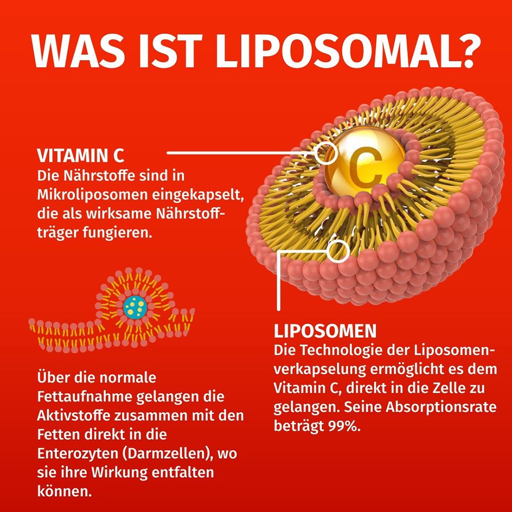 Grafik erklärt liposomalen Vitamin C: Nährstoffe in Mikrolip osomen, Absorption 99%.