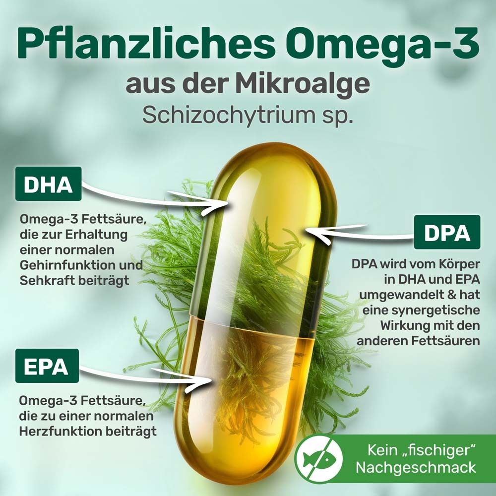 Kapsel mit pflanzlichem Omega-3 aus Mikroalgen. DHA, DPA und EPA-Informationen.