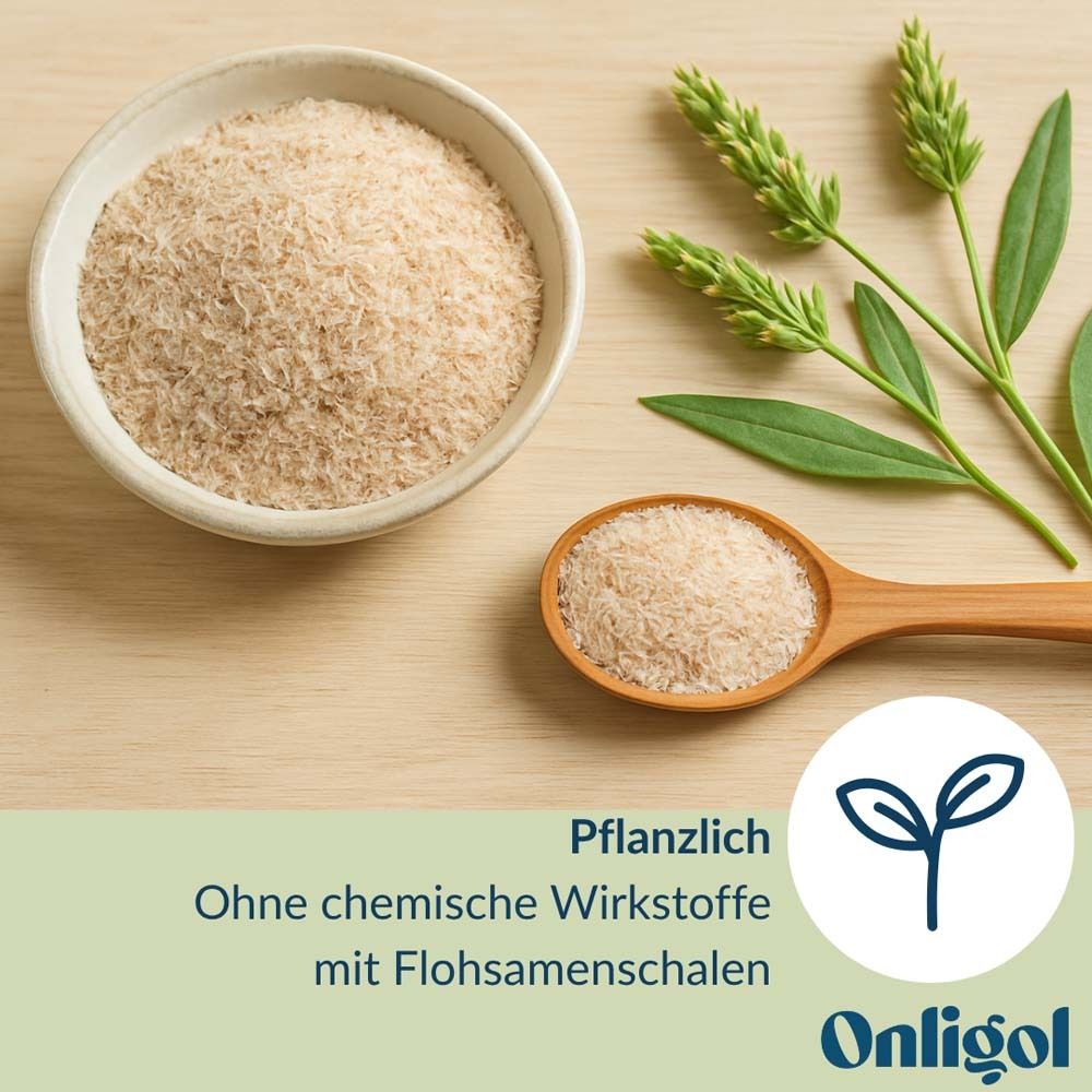 Flohsamenschalen in Schale und Löffel. Pflanzlich. Ohne chemische Wirkstoffe. Onligol Fiber.