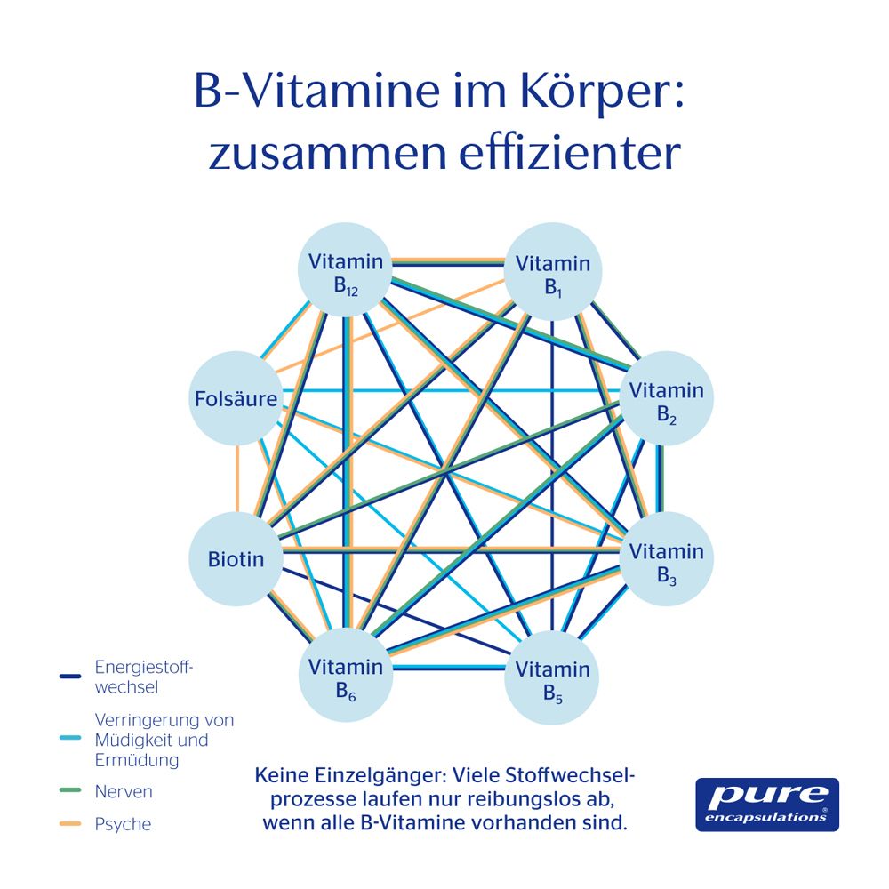 Grafik zeigt B-Vitamine und ihre Wechselwirkungen im Körper.