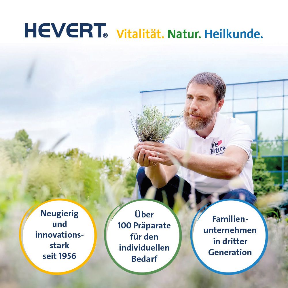 Mann im Freien mit Pflanze. Text: HEVERT. Vitalität. Natur. Heilkunde. Logos.