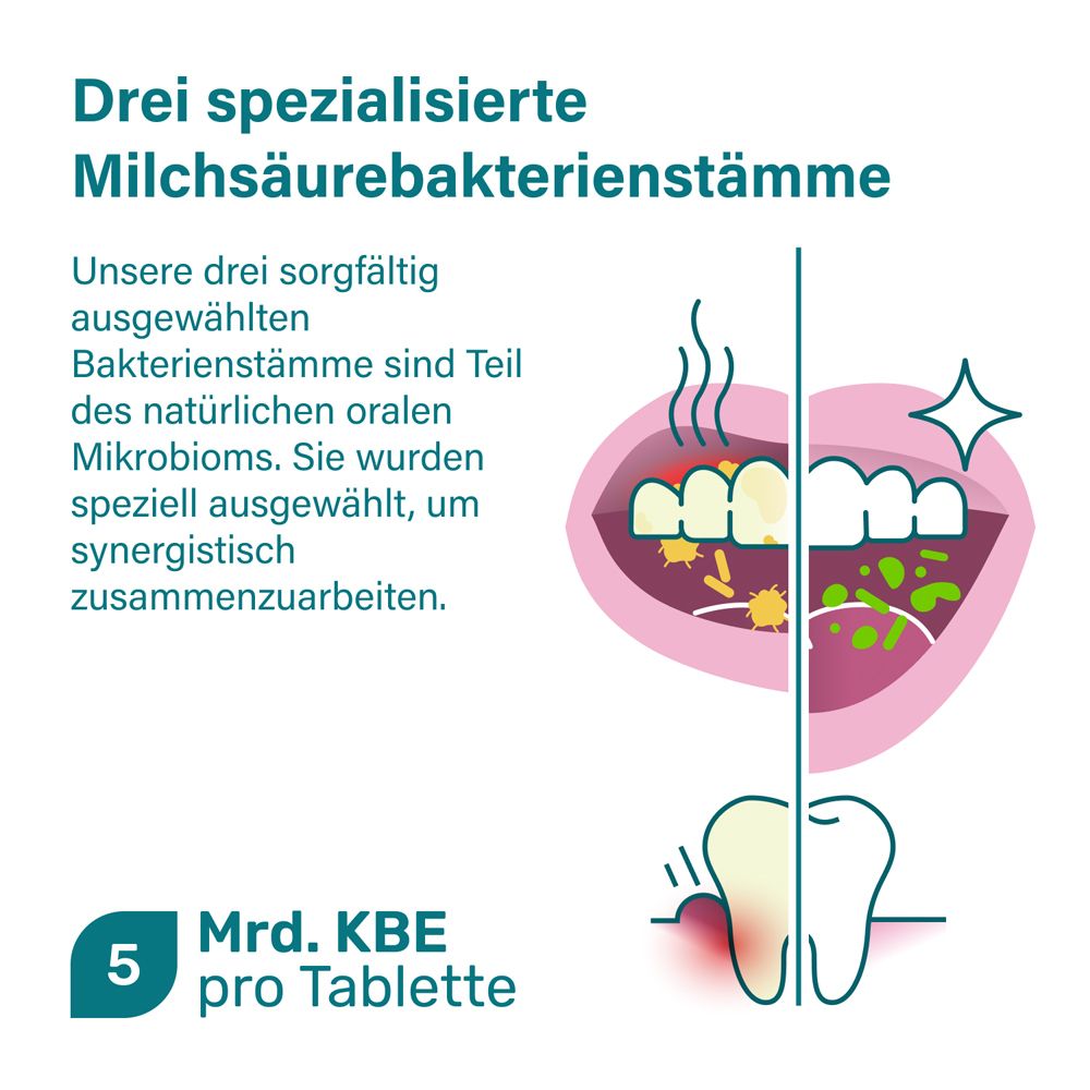 Zahnmodell, Mund. Text: 3 Milchsäurebakterienstämme, 5 Mrd. KBE pro Tablette.