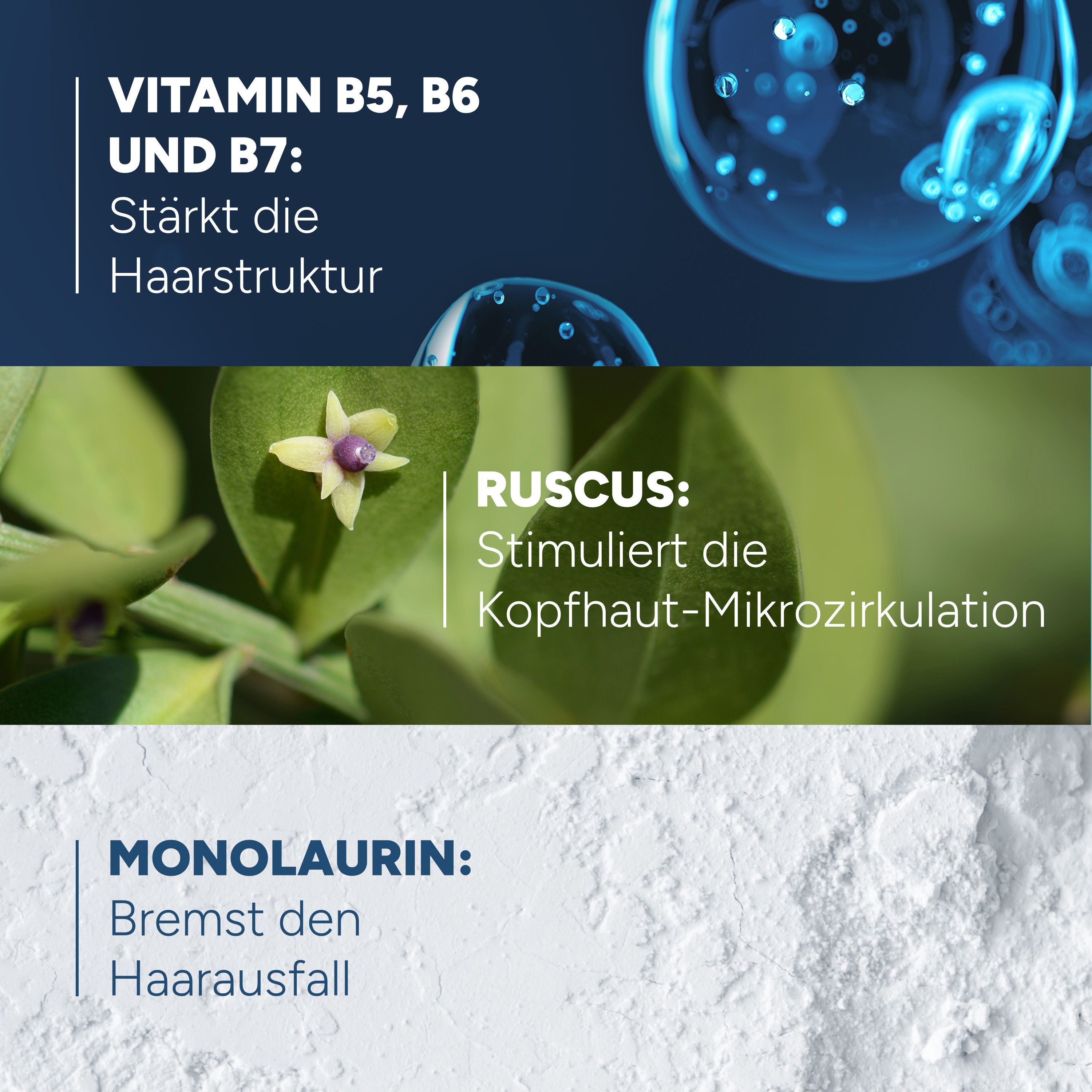 Text: Vitamin B5, B6 und B7: Stärkt die Haarstruktur. Ruscum: Stimuliert die Kopfhaut-Mikrozirkulation. Monolaurin: Bremst den Haarausfall.