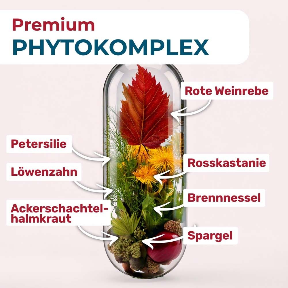 Kapsel mit Inhaltsstoffen: Rote Weinrebe, Rosskastanie, Petersilie, Löwenzahn, Brennnessel, Spargel.