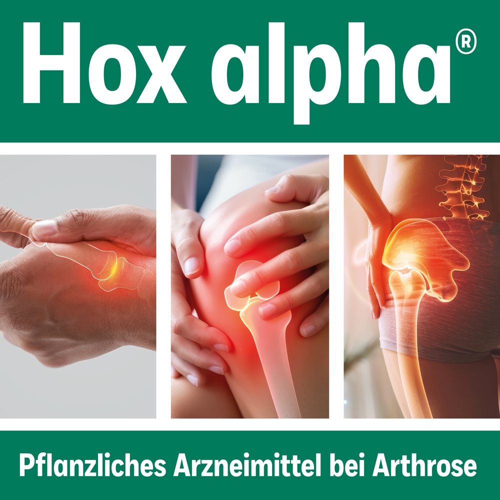 Hox alpha®-Logo. Bilder von Gelenken mit Hervorhebung von Schmerzbereichen. Text: Pflanzliches Arzneimittel bei Arthrose.