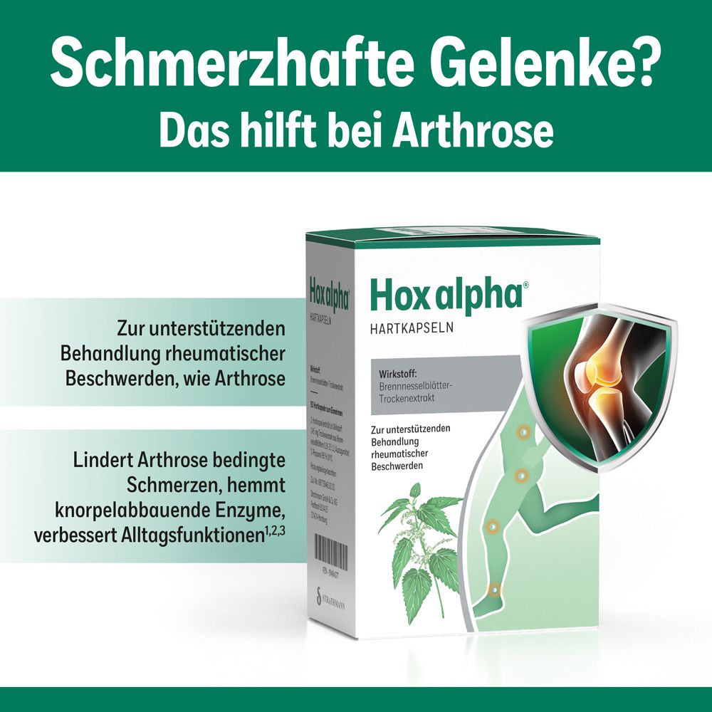 Hox alpha®-Packung und Illustration eines Gelenks. Text: Hilft bei Arthrose. Informationen zu den Inhaltsstoffen.