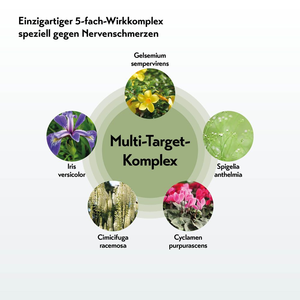 Fünf Kreise mit Pflanzenbildern um die Mitte "Multi-Target-Komplex".