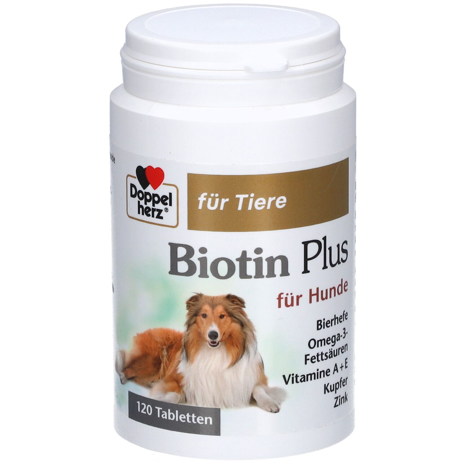 Weiße Dose mit Etikett. Doppelherz Biotin Plus für Hunde. Bild eines Hundes. 120 Tabletten.