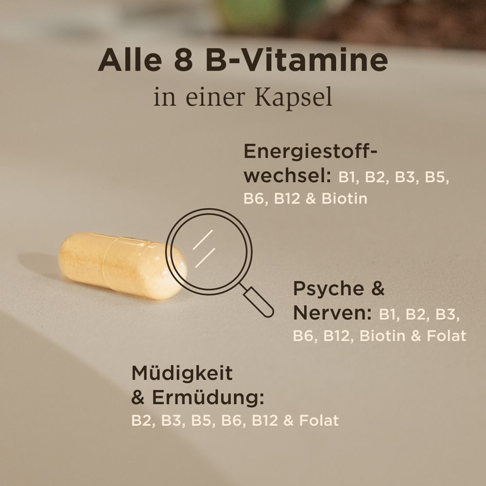 Gelbe Kapsel neben Text: Alle 8 B-Vitamine in einer Kapsel. Energie, Psyche & Nerven, Müdigkeit & Ermüdung.
