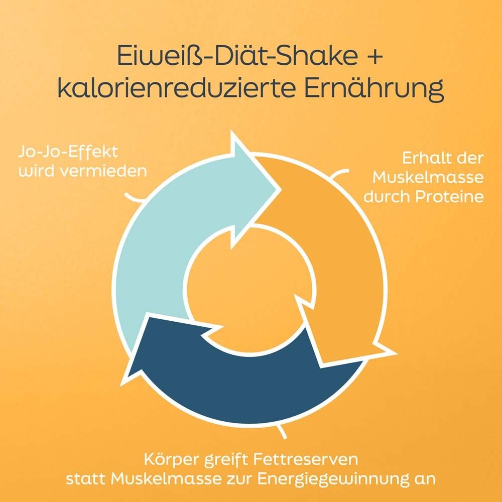 Kreislaufdiagramm mit Text: Eiweiß-Diät-Shake + kalorienreduzierte Ernährung. Vermeidung Jo-Jo-Effekt, Erhalt Muskelmasse.