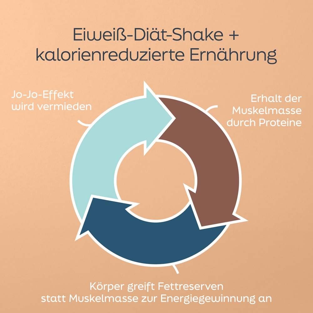 Kreislaufdiagramm mit Pfeilen und Text: Eiweiß-Diät-Shake + kalorienreduzierte Ernährung.