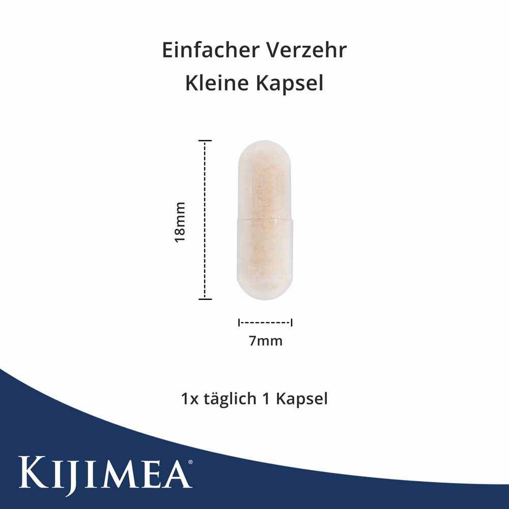 Kapsel mit Maßangaben: 18mm lang, 7mm Durchmesser. Text: Einfacher Verzehr. 1x täglich 1 Kapsel. Kijimea Logo.