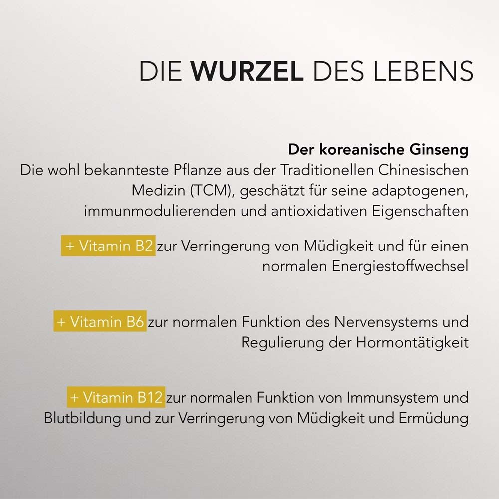 Text über koreanischen Ginseng und seine Eigenschaften. Erwähnung von Vitamin B2, B6 und B12.